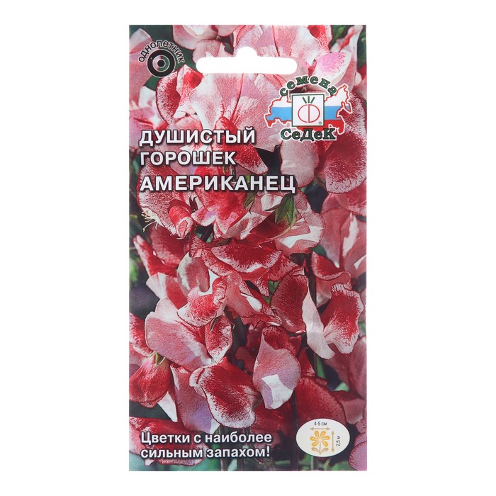 Семена цветов душистый горошек «Американец»