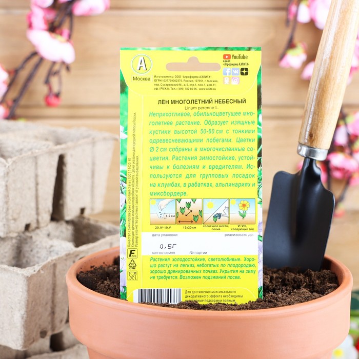 Семена цветов Лен многолетний