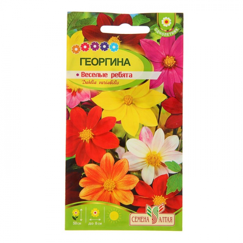 Семена цветов Георгина 