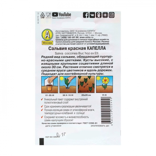Семена Цветов Сальвия 