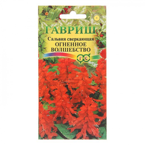 Семена цветов Сальвия 