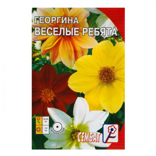 Семена цветов Георгина 