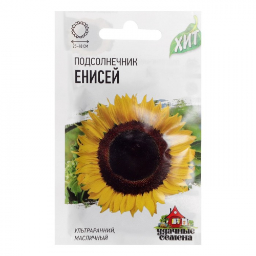 Семена Подсолнечник 