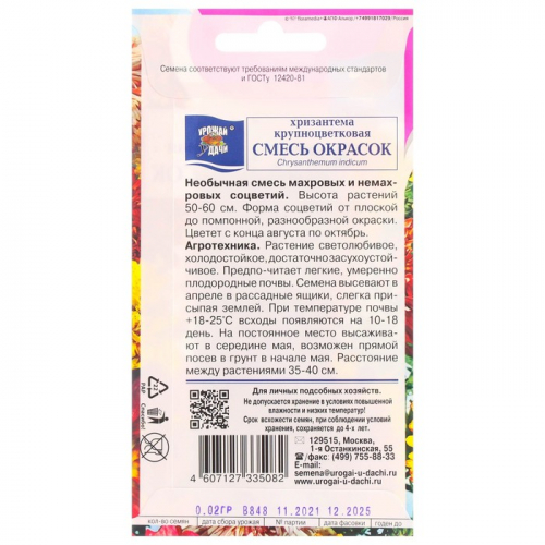Семена цветов Хризантема многолетняя 