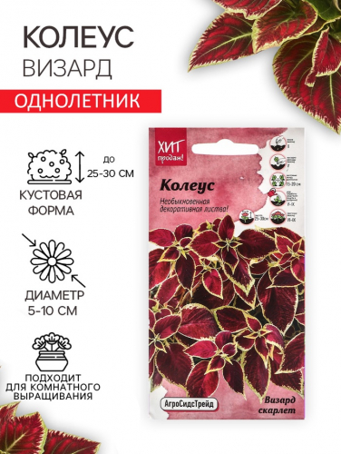 Семена Цветов Колеус 