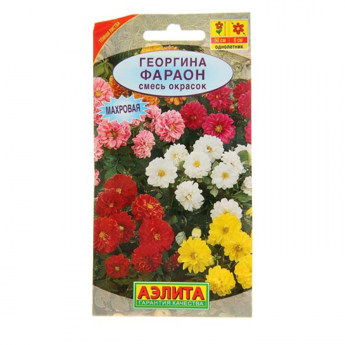 Семена цветов Георгина 