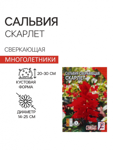 Семена цветов Сальвия сверкающая 