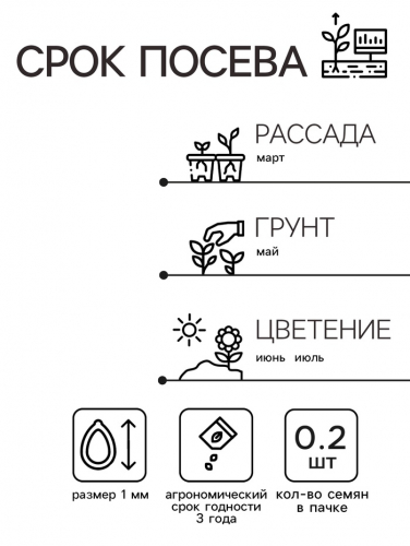 Семена  цветов Маттиола Левкой 