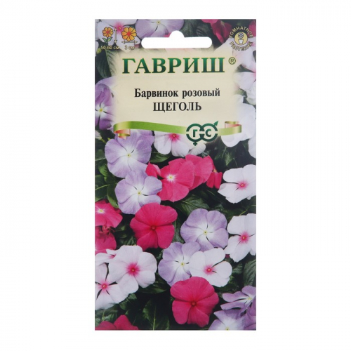 Семена комнатных цветов Барвинок 