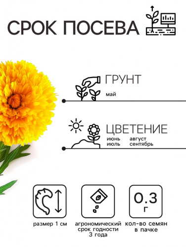 Семена  Календула Ванилла, 0,3 г