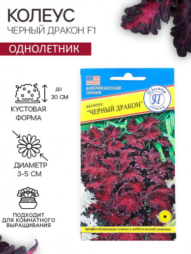 Семена цветов Колеус 