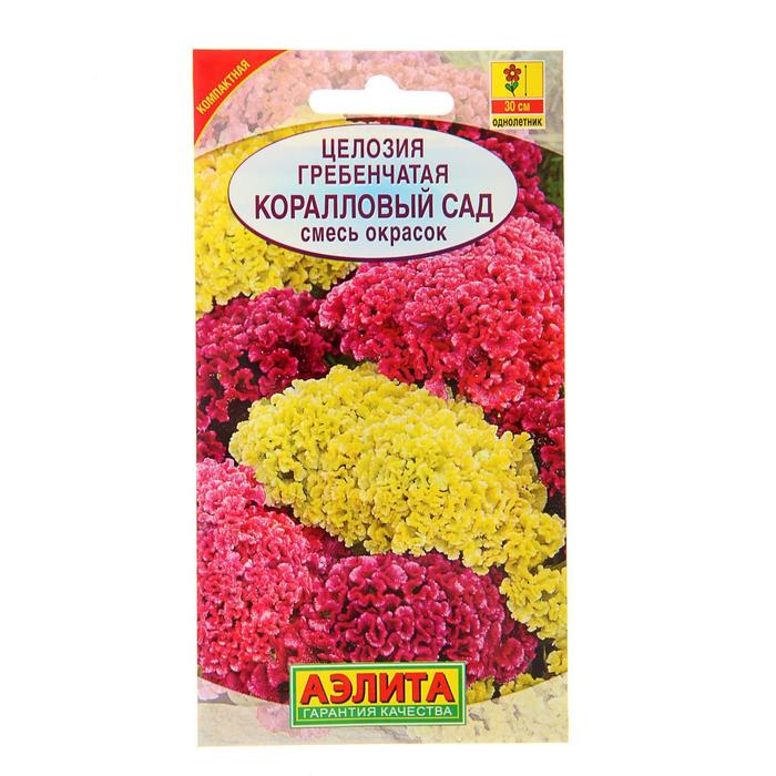Семена цветов Целозия гребенчатая