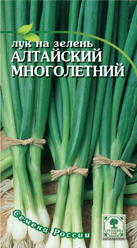Лук Алтайский*на зелень многолетн. 0,2г