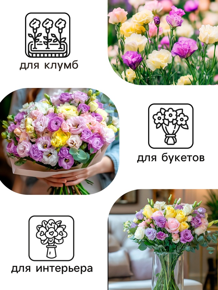 Семена цветов Эустома