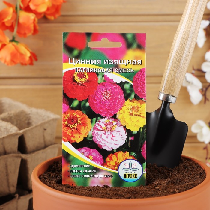Семена цветов Цинния «Изящная карликовая смесь», однолетник, 0.2-0.3 г
