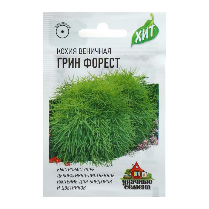 Семена цветов Кохия веничная