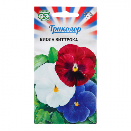 Семена Виола 