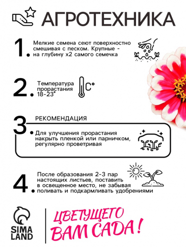 Семена цветов  Цинния Захара 