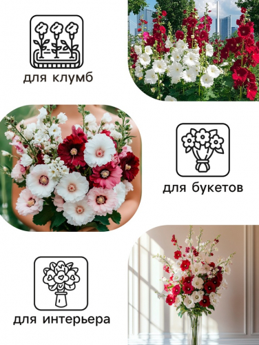 Семена   Шток-роза Индийская весна, смесь сортов , 0,3г