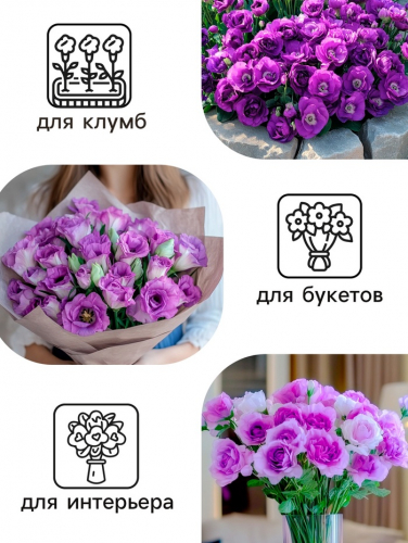 Семена   Эустома 