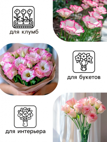 Семена  Эустома 