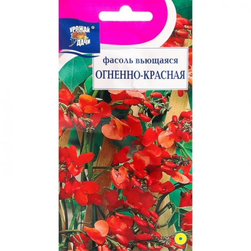 Семена цветов Фасоль 