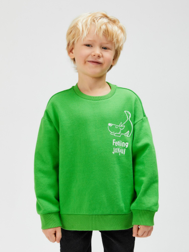 20120170173 Джемпер детский для мальчиков Lubos зеленый