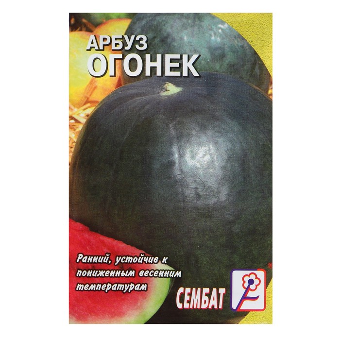 Семена Арбуз