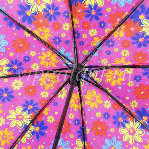 Зонт женский автомат Dolphin 706 Neon flowers