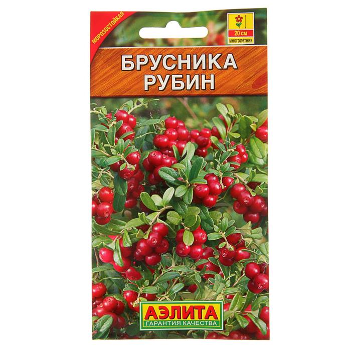 Семена Брусника