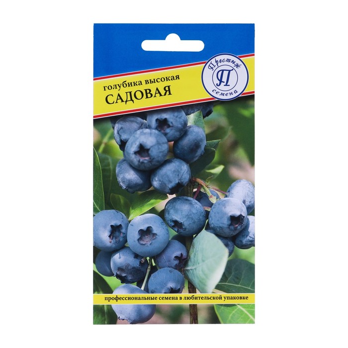 Семена Голубика