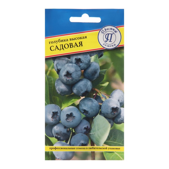 Семена Голубика