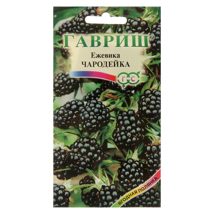 Семена Ежевика