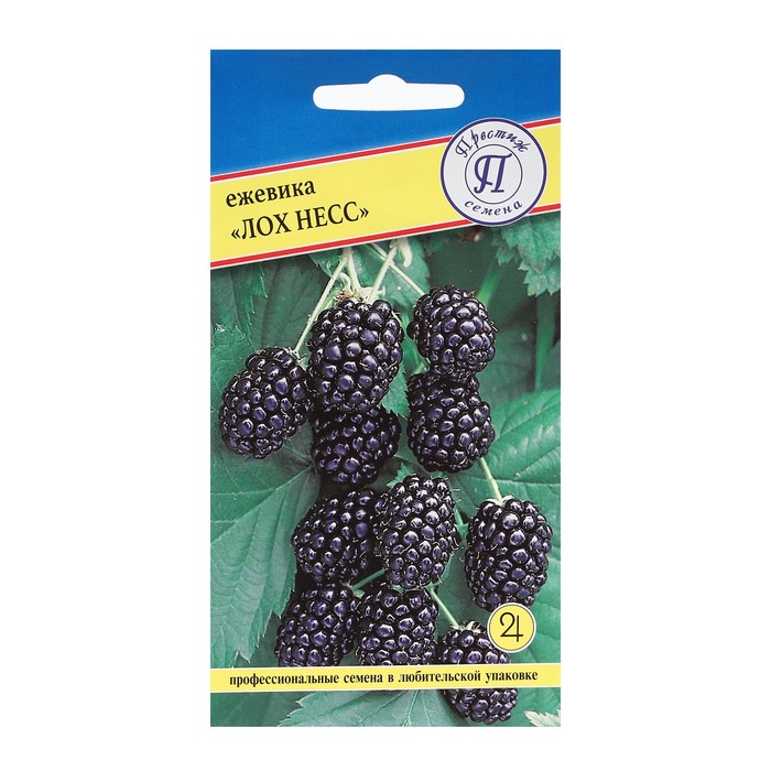 Семена Ежевика ремонтантная