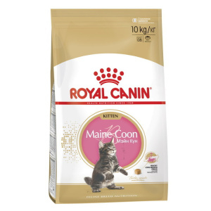Royal Canin Kitten Maine Coon 36, Сухой корм для котят породы мейн-кун от 3 до 15 месяцев, (400 гр)