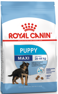 Royal Canin Maxi Junior 31, для щенков крупных пород, с 2 до 15 месяцев, (3 кг)