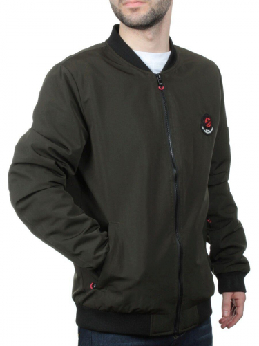 EM25056-2 SWAMP Куртка-бомбер мужская демисезонная (100 гр. синтепон) размер L - 46 российский