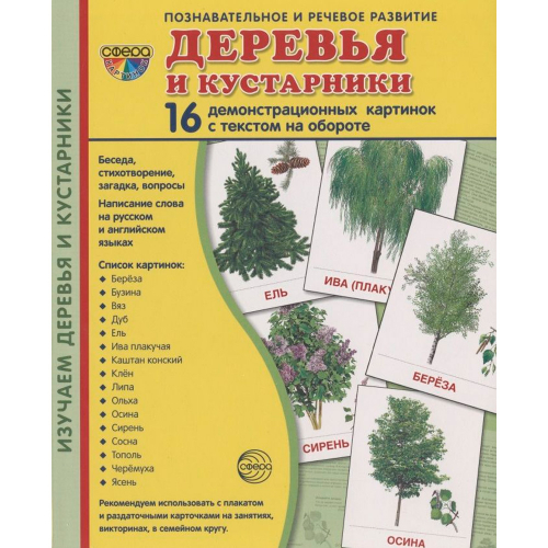 Дем. картинки СУПЕР Деревья и кустарники. 16 демонстр. картинок с текстом (учебно-методическое пособ в Нижнем Новгороде