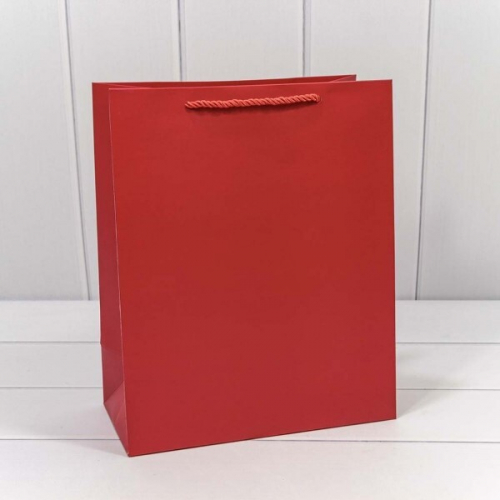 Подарочный пакет люкс бумажный 26*32*13 см Фактура красный 441128