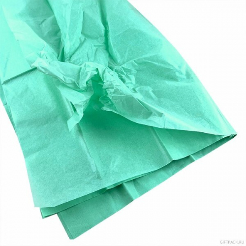 Бумага упаковочная тишью 50*66 см Светло-зеленый 10 листов 17 г/м2 491941031