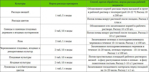 Гетероауксин (2 капсулы) Техноэксп 01-807 х100