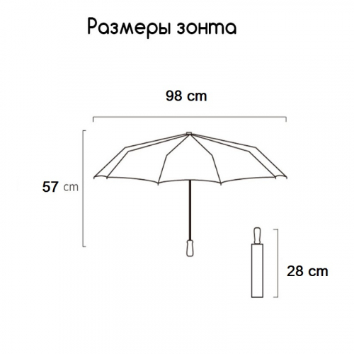 ЗОНТЫ