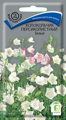 Цветы Колокольчик персиколистный Белый (0,05 г) Поиск