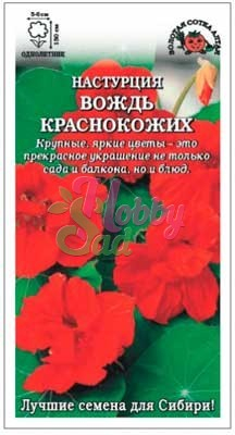 Цветы Настурция Вождь краснокожих ( 0,5 г) Сотка
