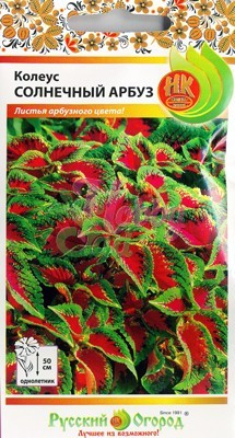 Цветы Колеус Солнечный Арбуз (3 шт) Русский Огород