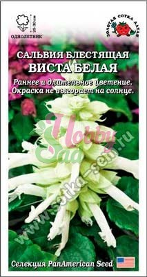 Цветы Сальвия Виста Белая (10 шт) Сотка