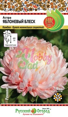 Цветы Астра Яблоневый блеск (50 шт) Русский Огород
