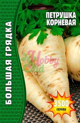 Петрушка корневая (3500 шт) ЭКЗОТИКА