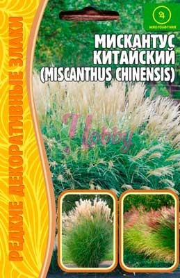 Цветы Мискантус китайский (Miscanthus sinensis) (0,01 гр) ЭКЗОТИКА