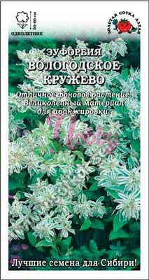 Цветы Эуфорбия Вологодское кружево (0.2 г) Сотка